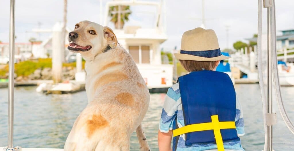 Can Dogs Go on Cruises